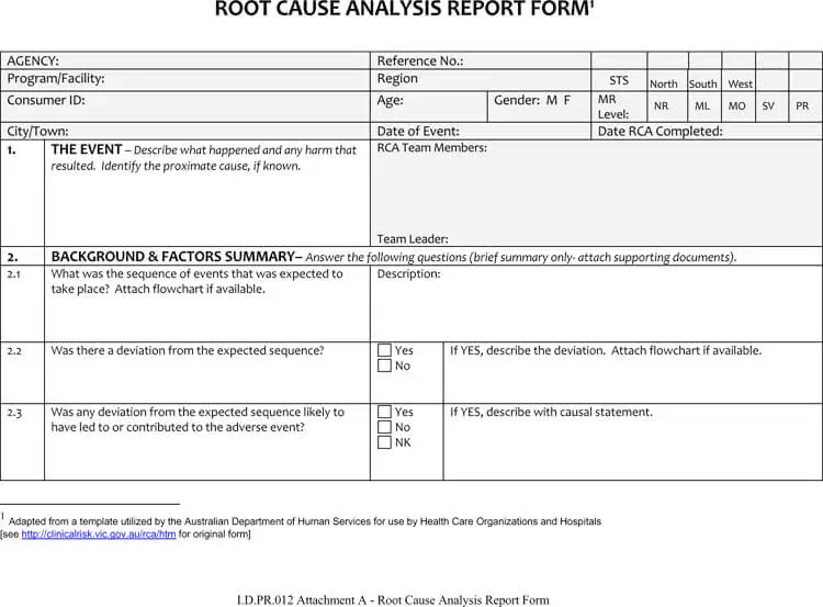 Root Cause Analysis Template