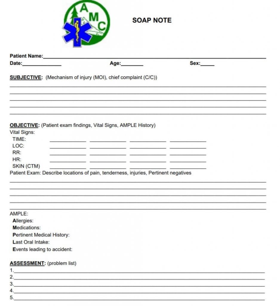 Pediatric Soap Note Template from www.realiaproject.org