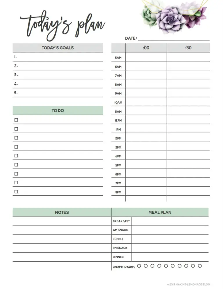 Planner with goals, to-do, notes and meal plan