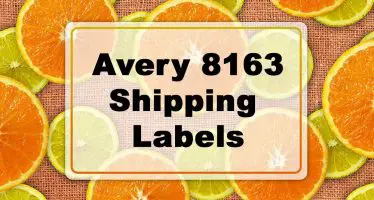 Featured Image: Avery 8163 Label Examples